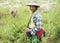 Cattle boy in Burma