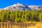 Cattle Corral in Mountains