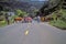 Cattle crossing road at cattle roundup, Ophir, OR