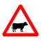 Cattle crossing road sign