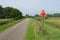 Cattle crossing sign