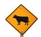 Cattle crossing sign isolated