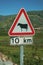 CATTLE CROSSING traffic sign on a roadway