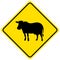 Cattle crossing yellow sign on white background