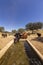 Cattle drinking fresh water at farmland countryside landscape, in Alentejo tourist region, Portugal