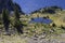 Cattle drive around a small mountain lake