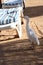 Cattle egret, beach, Egypt