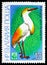 Cattle Egret (Bubulcus ibis), International Hunting Exhibition EXPO \'81, Plovdiv: Waders serie, circa 1981