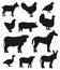 Cattle farm animals and birds silhouettes