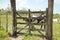 Cattle farm gate