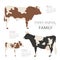Cattle farming infographic template. Cow, bull, calf family.