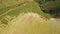 Cattle grazing on a lush green hillside