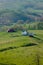 Cattle grazing on a mountain farm in Virginia