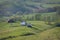 Cattle grazing on a mountain farm in Virginia