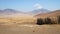 Cattle grazing outside a Maasai boma enclosure in the Ngorongoro conservation area, Tanzania