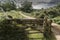 Cattle Grid and Gate New Forest Hampshire UK