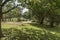 Cattle Grid and Gate New Forest Hampshire UK