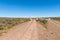 Cattle grid, gate and wildflowers near Papkuilsfontein