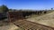 Cattle Grid in Use in a Cattle Property