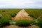 A cattle guard on a dirt road