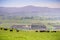 Cattle herd on a pasture up in the hills; valley with agricultural fields and mountains in the background, south San Francisco bay