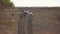 Cattle herd and shepherd walk on hill, aerial view.