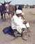 Cattle market in Tafilalet, Morocco