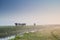 Cattle on morning pasture in fog