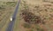 Cattle muster outback Queensland.