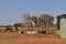 Cattle in outback near water watering hole