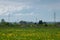 Cattle in pasture against electric pylons and enormous cloud