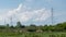 Cattle in pasture against transmission line and enormous cloud