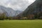 Cattle on pasture, autumn colors, mountains and couds in background; European Alps