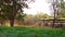 Cattle Penned In Yards In Australia