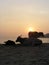 Cattle rest on a tropical beach.