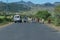 Cattle on the road, Ethiopia