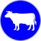 Cattle on road road sign