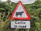 Cattle in road sign
