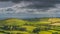 Cattle and sheeps grazing on green hills and pastures. Ancient Loughcrew Cairns, Ireland