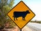 Cattle Sign on roadway