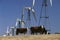 Cattle standing with wind turbines