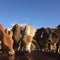 Cattle Station, North West Queensland