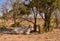 Cattle Station in West Australia