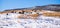 Cattle stock on pasture covered in snow in south mountains north