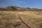 Cattle trail in Colorado mountain valley