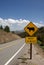 Cattle Warning Highway Sign in Mountains