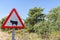 Cattle warning road sign in Spain