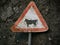 Cattle warning sign in rural area of Portugal against rough textured stone wall.