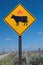 Cattle warning sign with UFO graffiti, New Mexico