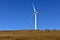 The cattle and the wind power generator on the grassland